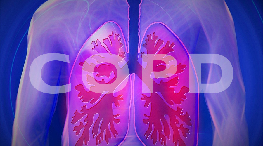 image of a respiratory model