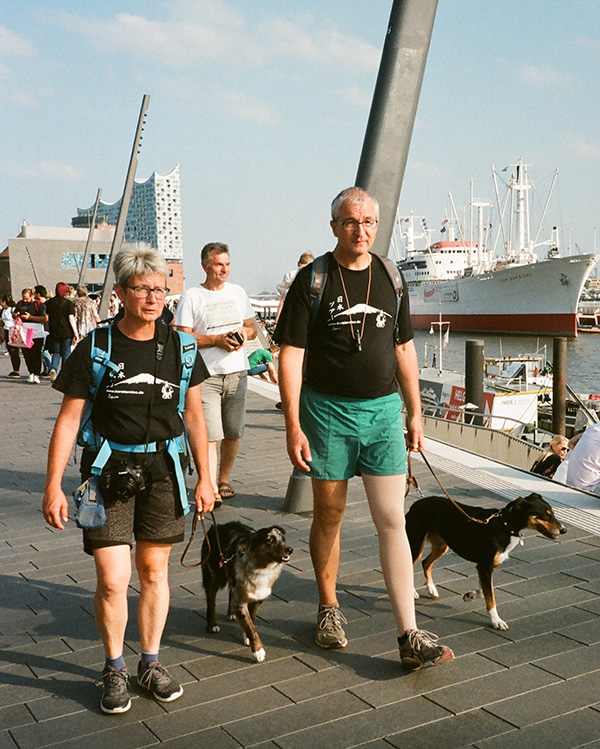 elderly couple strolling with their pets