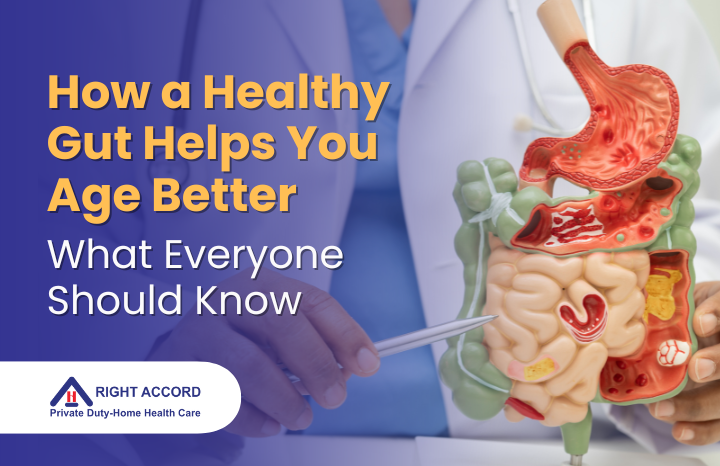 How a Healthy Gut Helps You Age Better: What Everyone Should Know