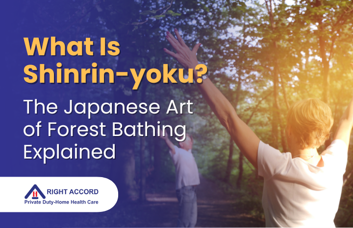 What Is Shinrin-yoku? The Japanese Art of Forest Bathing Explained