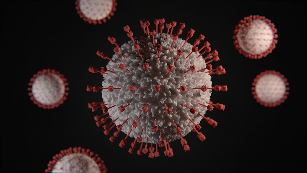 A coronavirus image in 3D model