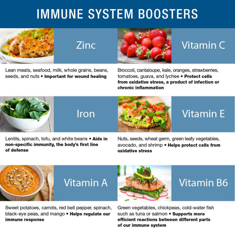 immune booster diet
