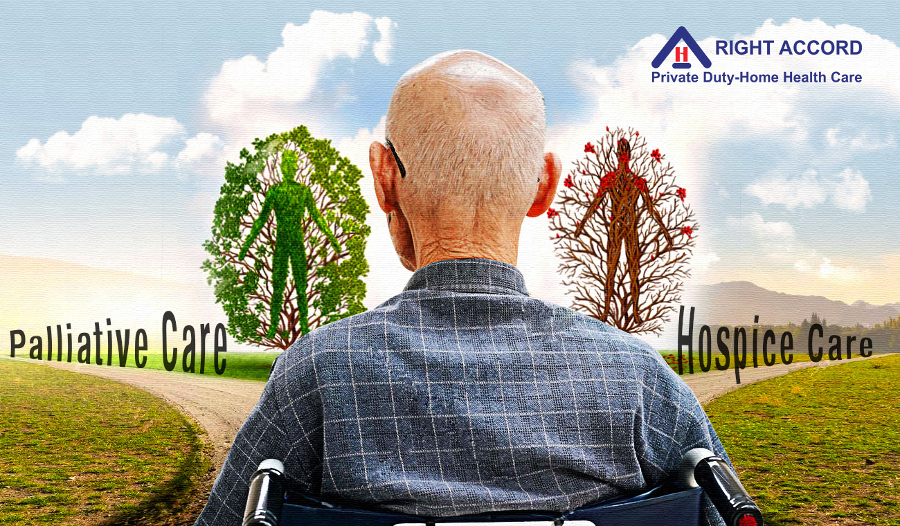 hospice and palliative care cover design