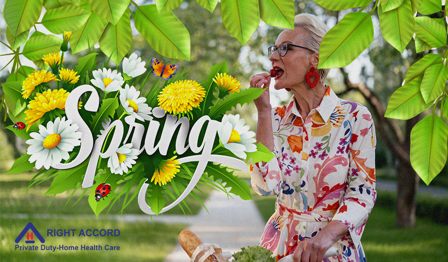 Springtime Foods for Seniors Cover Design