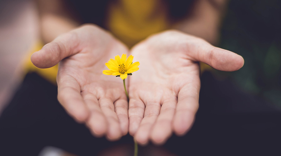 image of a hand with flower