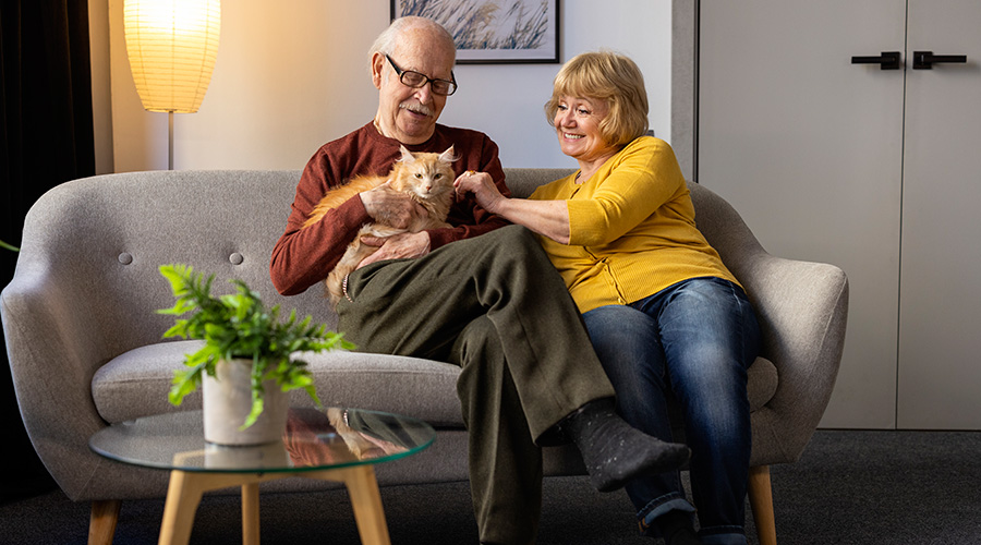 elderly-people-with-cat-pet