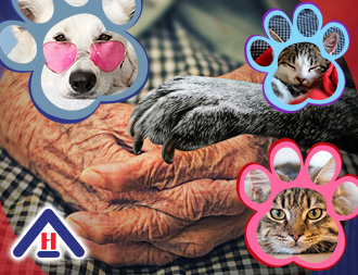 Animals and Seniors Mental Health cover design